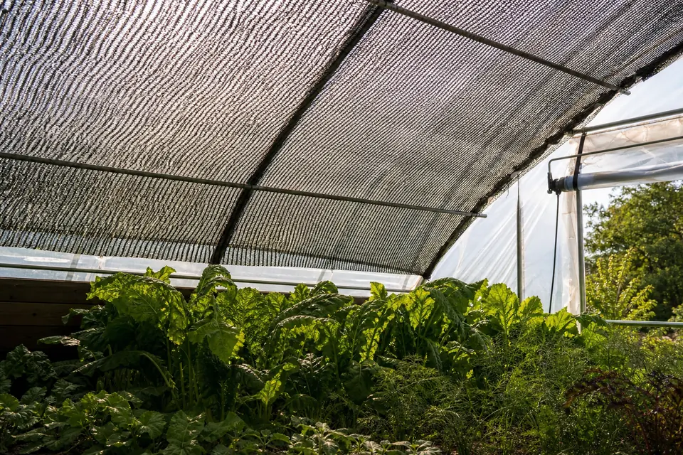 Woven shade cloth filtering sunlight over vegetable plants inside a greenhouse